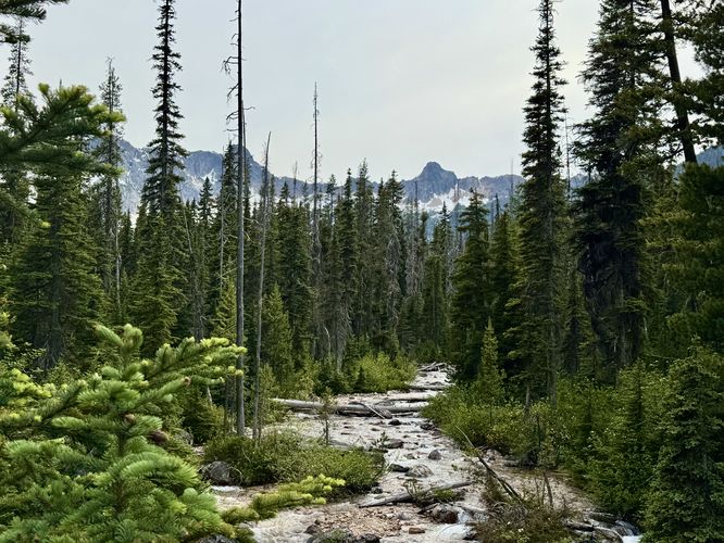 View of Cutthroat Creek from the bridge