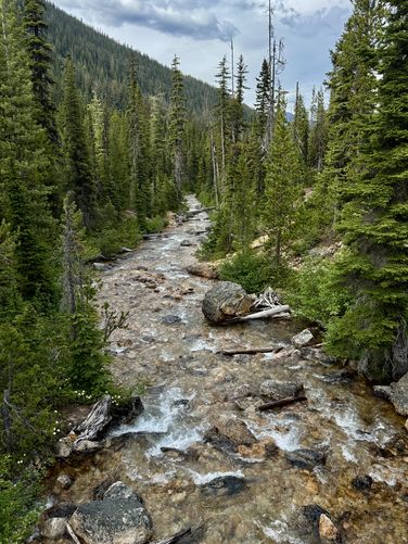 Another view of Cutthroat Creek