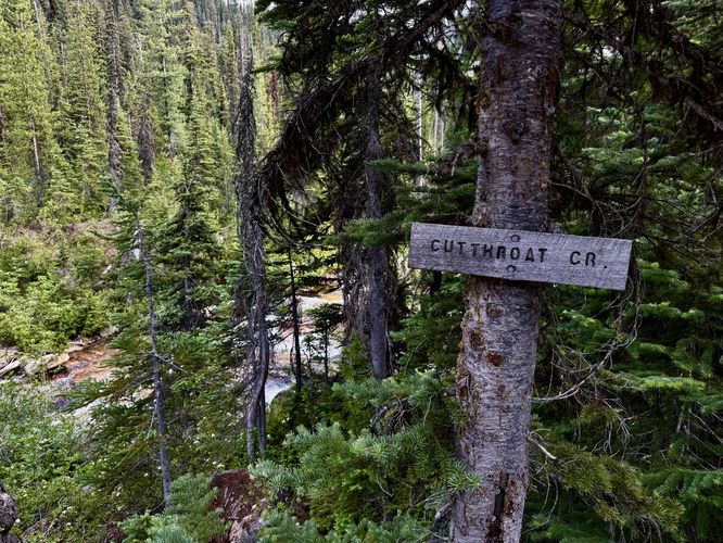 Sign for Cutthroat Creek