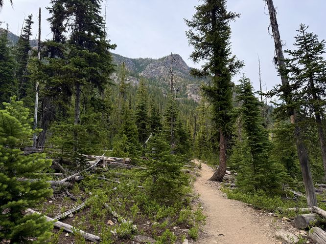 Picture 8 of Cutthroat Lake Trail