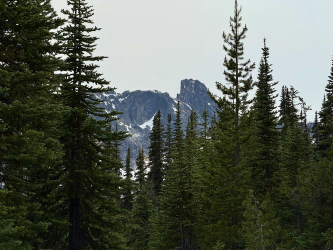 Picture 9 of Cutthroat Lake Trail