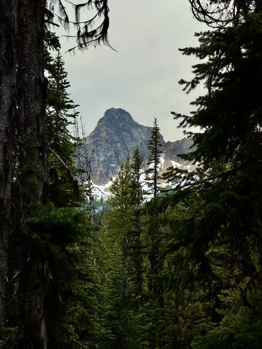 Picture 14 of Cutthroat Lake Trail