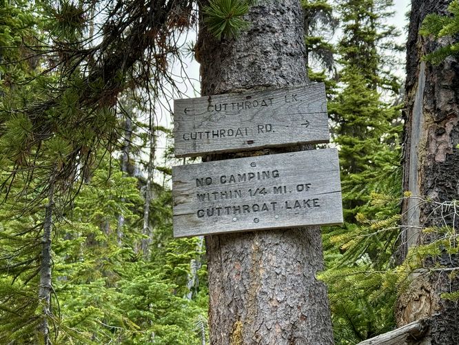 Turn for Cutthroat Lake