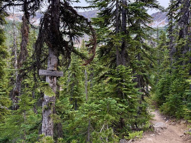 Cutthroat Lake trail junction