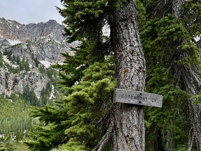 Cutthroat Lake sign
