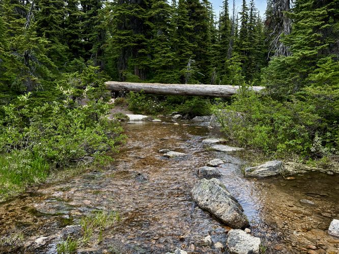 Outflow creek from Cutthroat Lake
