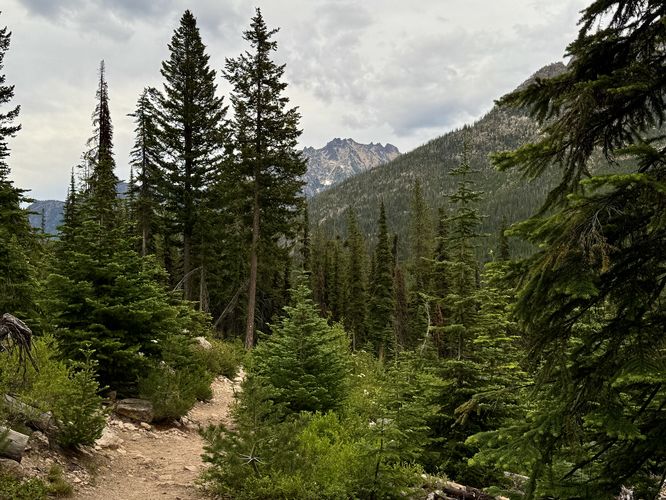 Picture 37 of Cutthroat Lake Trail