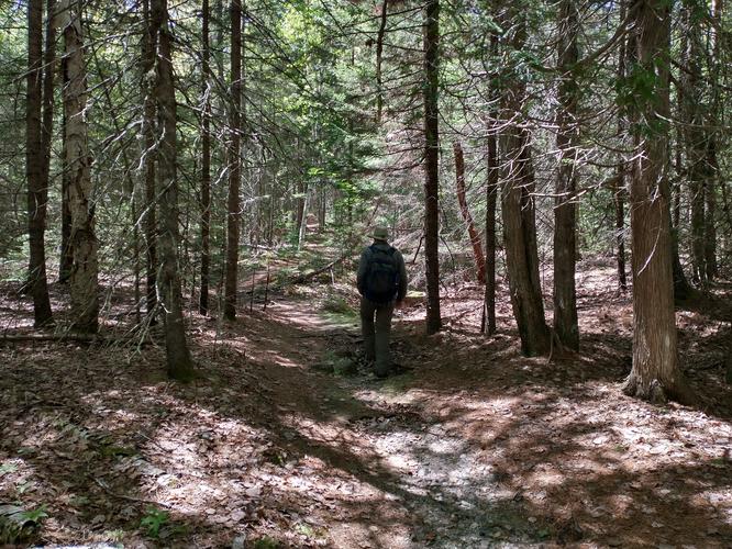 Trail substrate 