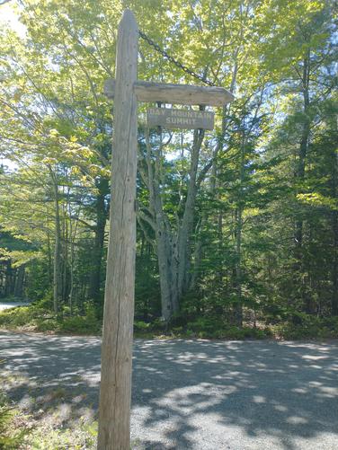 Intersection of the Trail and Carriage Road 