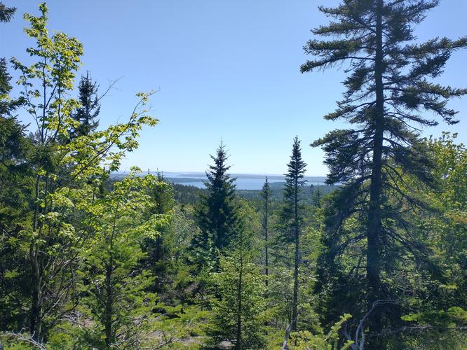 View from the trail.