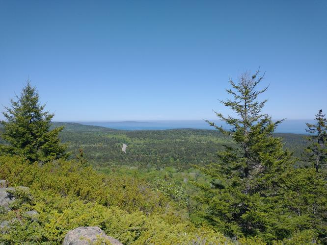 View from the Carriage Road 
