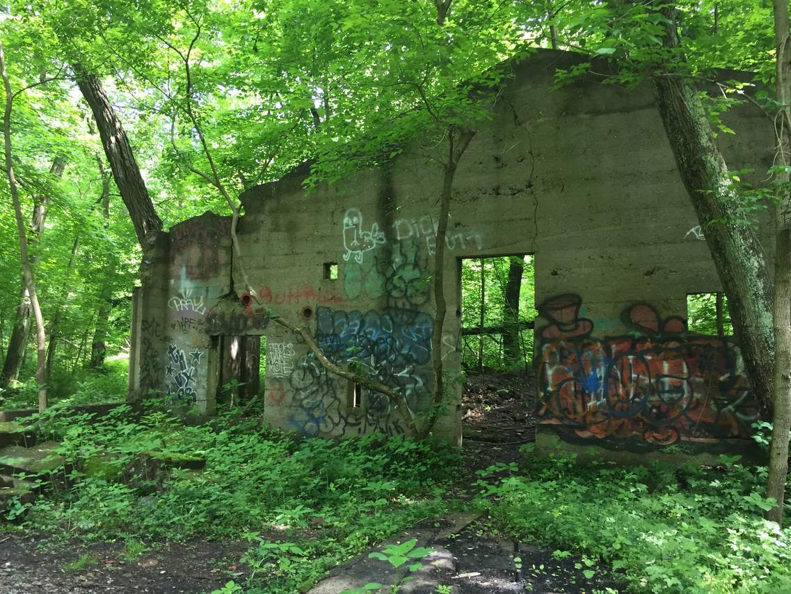 Ruins Trail - Dead Man&rsquo;s Hollow Conservation Area, PA | MyHikes