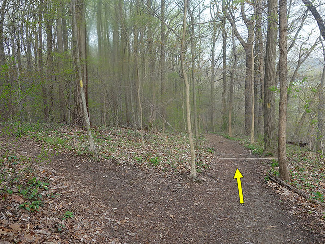 Picture 4 of Dead Run Hike 041914