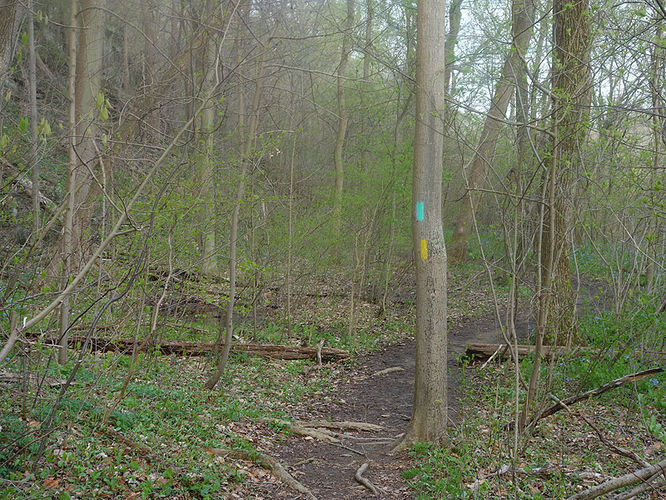 Picture 7 of Dead Run Hike 041914