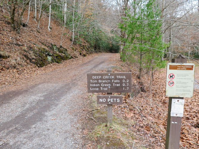 Picture 25 of Deep Creek Hike 011417