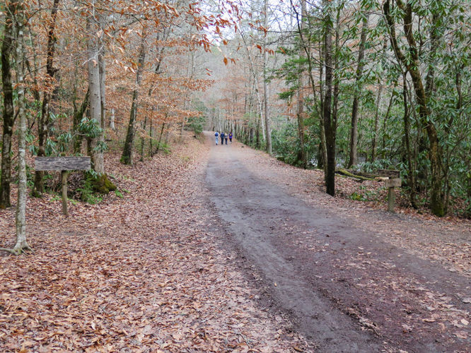 Picture 24 of Deep Creek Hike 011417