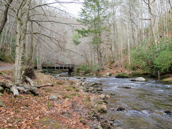 Picture 20 of Deep Creek Hike 011417