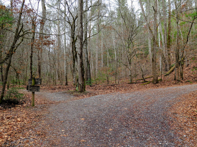 Picture 17 of Deep Creek Hike 011417