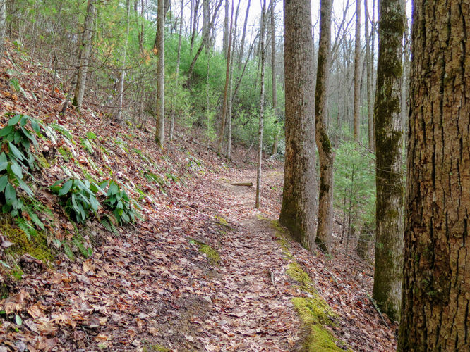 Picture 13 of Deep Creek Hike 011417