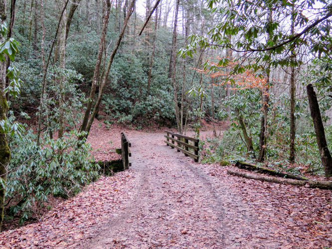 Picture 9 of Deep Creek Hike 011417