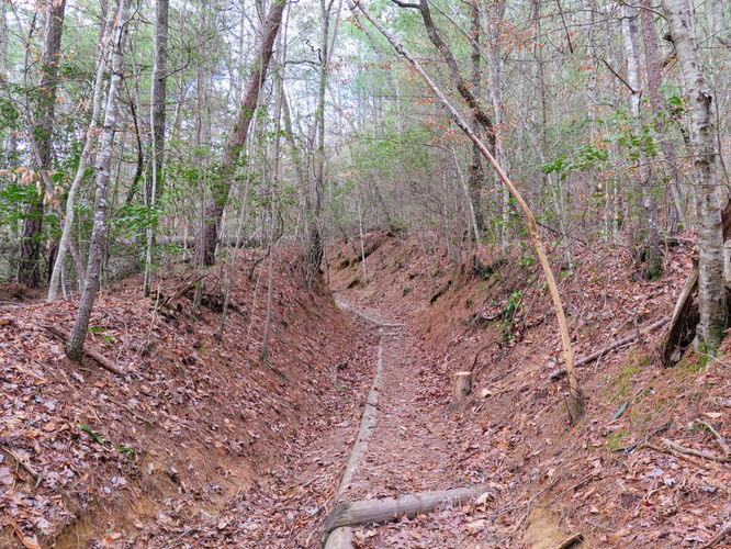 Picture 7 of Deep Creek Hike 011417