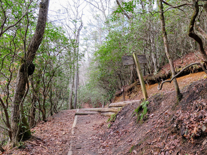 Picture 6 of Deep Creek Hike 011417