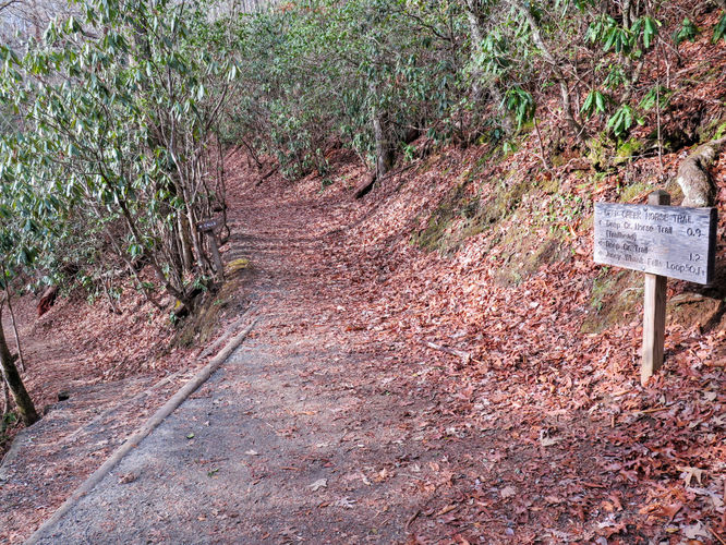 Picture 5 of Deep Creek Hike 011417