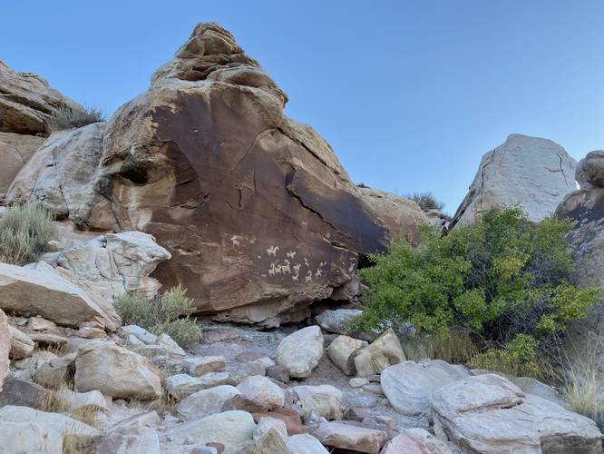 Ancient petroglyphs