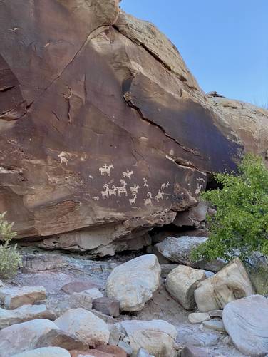 Ancient petroglyphs