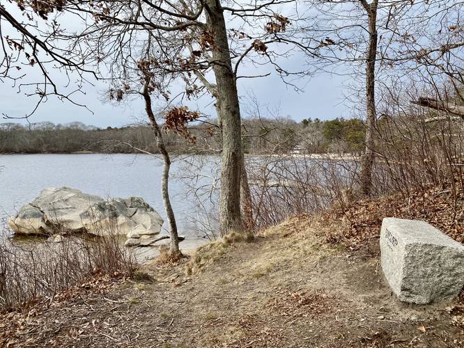 Bench view spot along Dennis Pond