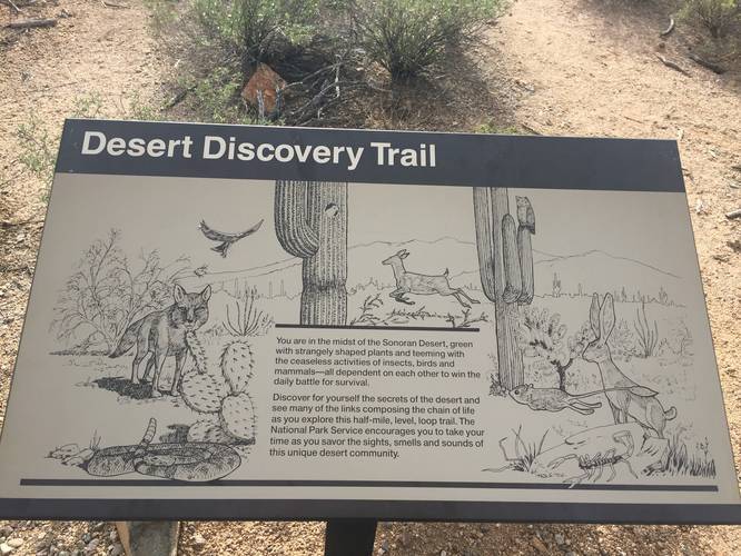 Picture 9 of Desert Discovery Nature Trail