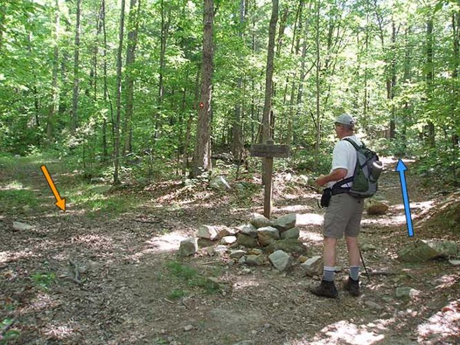 Picture 7 of Devils Marbleyard Hike 052106