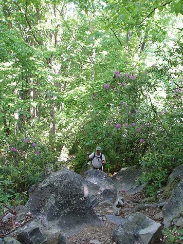Picture 9 of Devils Marbleyard Hike 052106