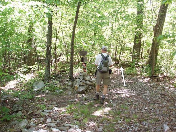 Picture 16 of Devils Marbleyard Hike 052106