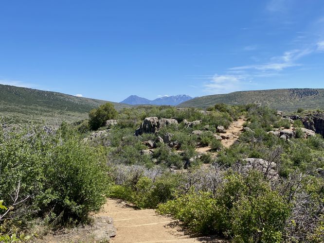 View of the West Elk Mountains from the Devil's Overlook trail