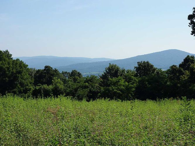 Picture 6 of Dickey Ridge Hike 082716