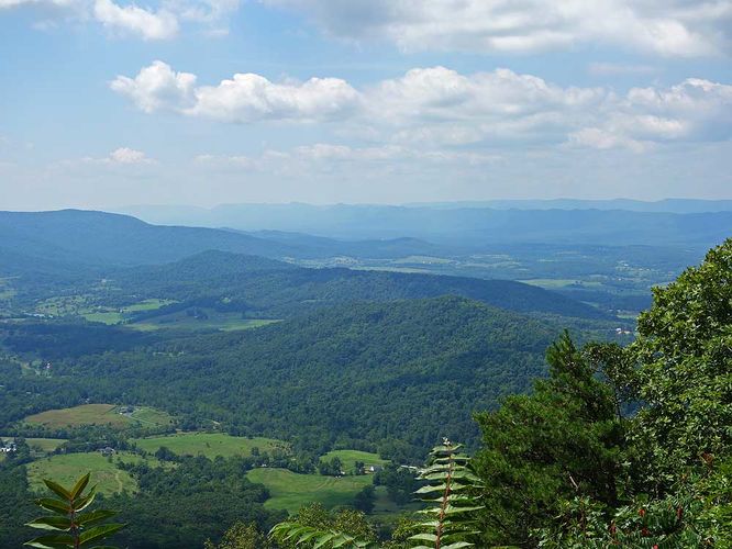 Default image for Dickey Ridge Hike, a 5.1-mile trail in Front Royal, VA (US)