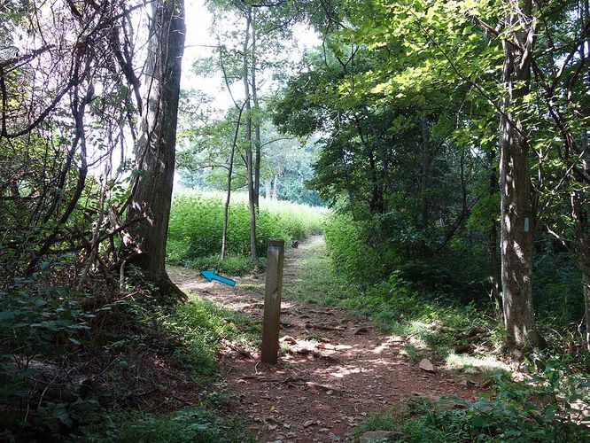 Picture 30 of Dickey Ridge Hike 082716