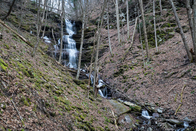 Dillon Hollow Falls  - Dillon Hollow Falls March 2025 album