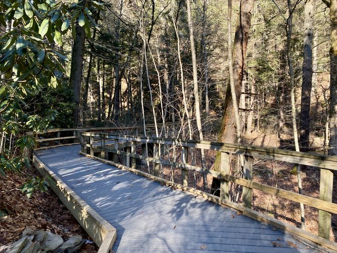 Boardwalk of the Dingmans Falls Trail