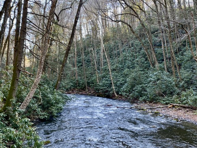 Scenic footbridge crossing with a view of Dingmans Creek lined by old rhododendrons