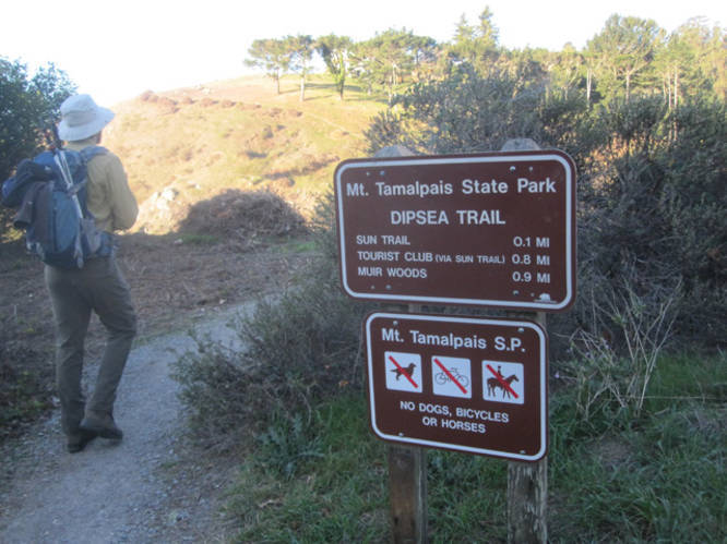 Picture 3 of Dipsea Trail