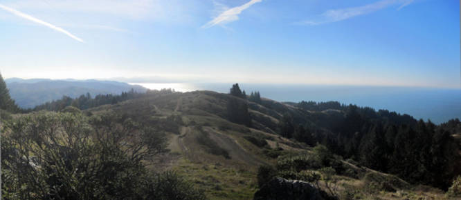 Picture 4 of Dipsea Trail