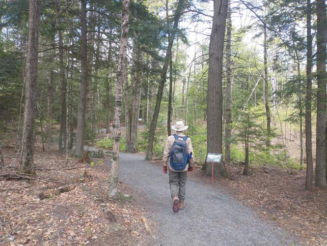 A sample of some of the 2 miles of accessible trails