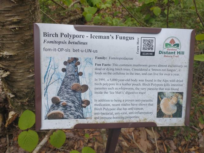 Example of educational post along the trail