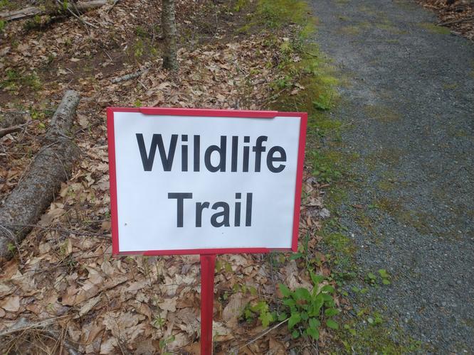 Example of trail signage