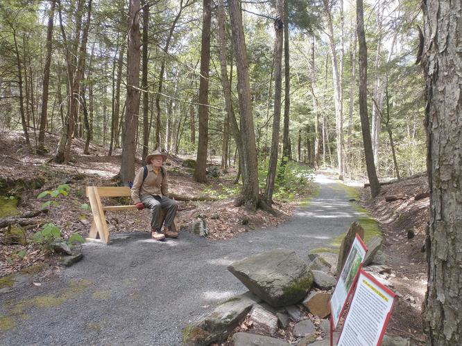 One of the many benches along the trail
