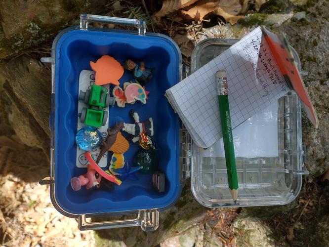 One of the two Geocaches located at Distant Hill Nature Trails 
