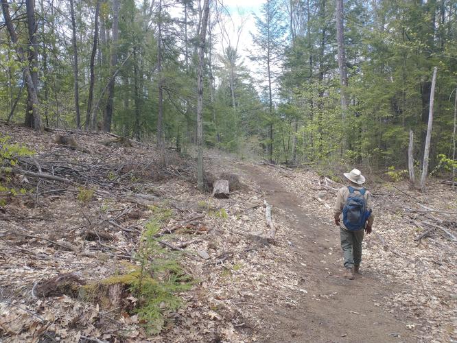Example of trail conditions on Lost Acre Trail