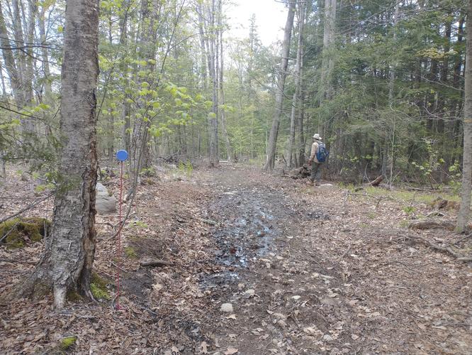 Spring rains can bring muddy trail conditions 